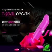 尚感电子G点超私密海豚式女用震动棒